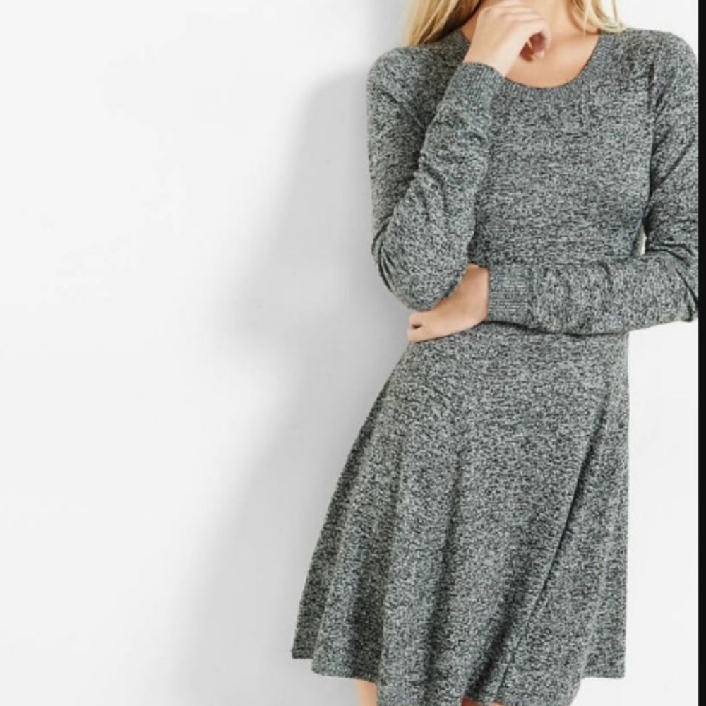 VGUC Express Fit and Flare Dress